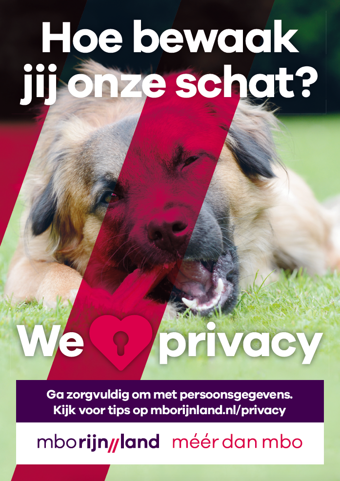 Interne-campagne-privacy-en-omgang-persoonsgegevens-poster-1